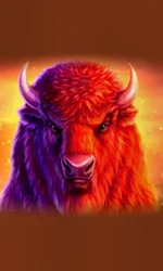 Buffalo 50