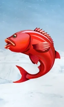 Ice Fishing