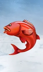 Ice Fishing