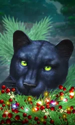 Blue Panther -CE